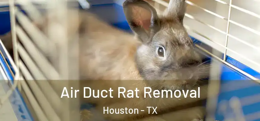  Air Duct Rat Removal Houston - TX