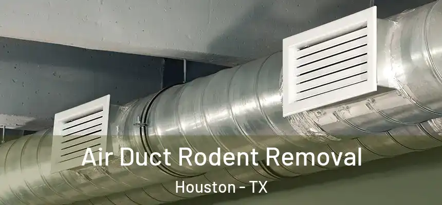  Air Duct Rodent Removal Houston - TX