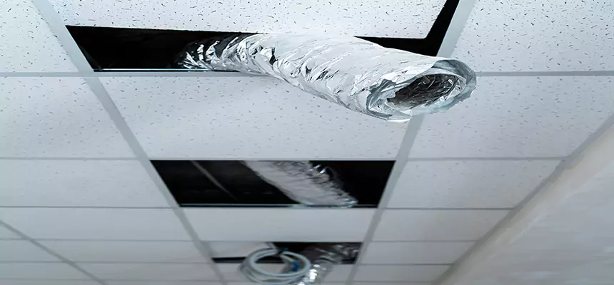 Our Air Duct Pet Hair Removal Services in Houston, TX