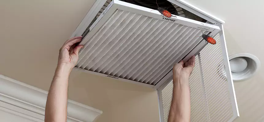 Our Insect Removal from Air Ducts Services in Houston, TX