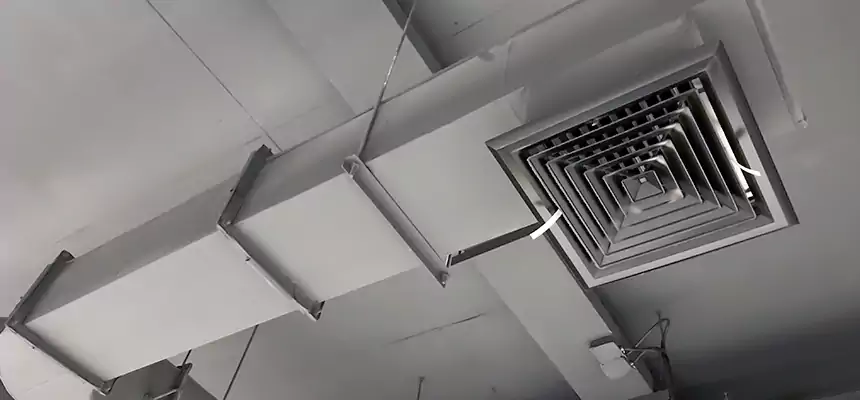 Our Pest Removal From Ducts Services in Houston, TX