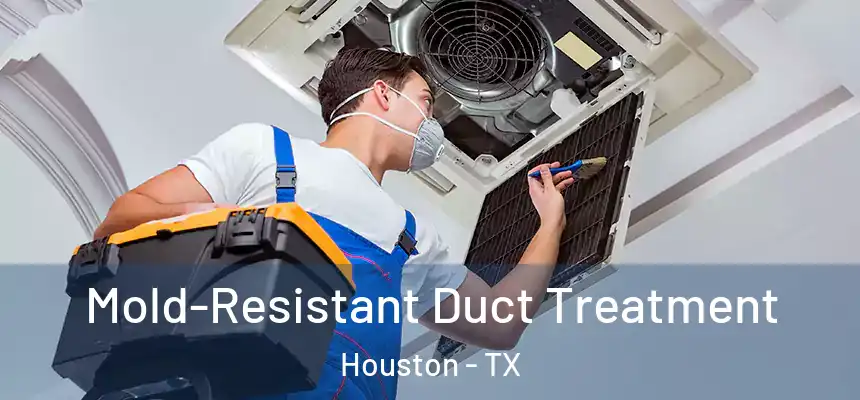 Mold-Resistant Duct Treatment Houston - TX
