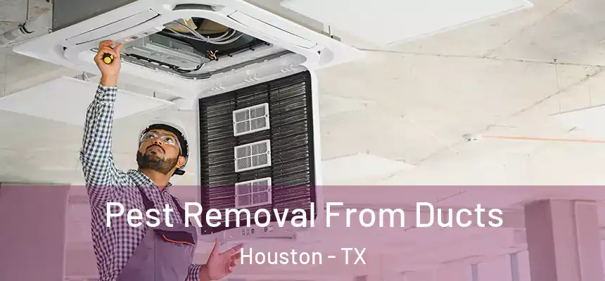  Pest Removal From Ducts Houston - TX