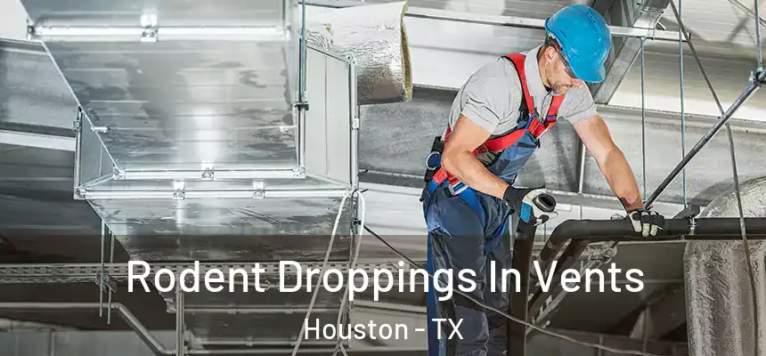  Rodent Droppings In Vents Houston - TX