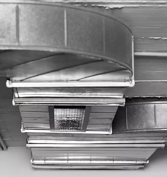 Professional Air Duct Pet Hair Removal in Houston, TX