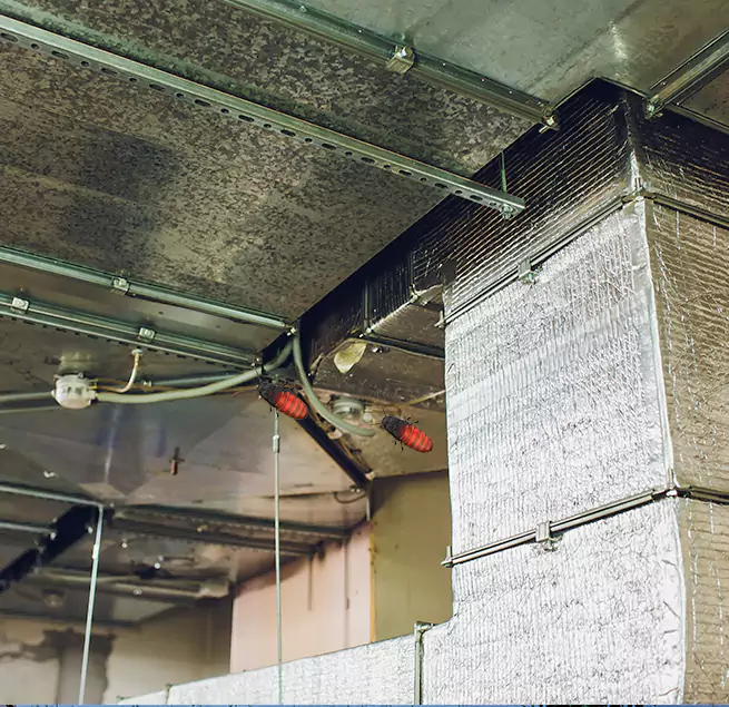 Why Homeowners & Businesses Trust Us in Houston, TX?