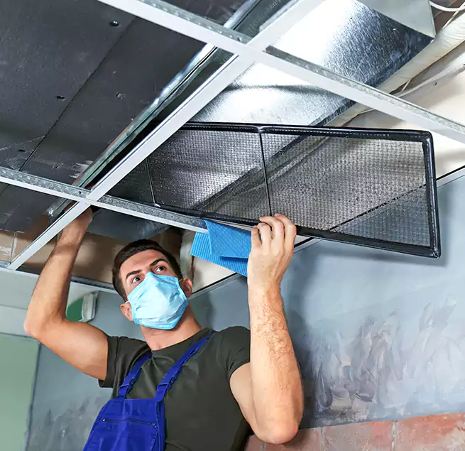 Why Homeowners Businesses Trust Us in Houston, TX