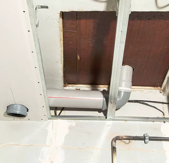 Why Homeowners & Businesses Trust Us in Houston, TX?