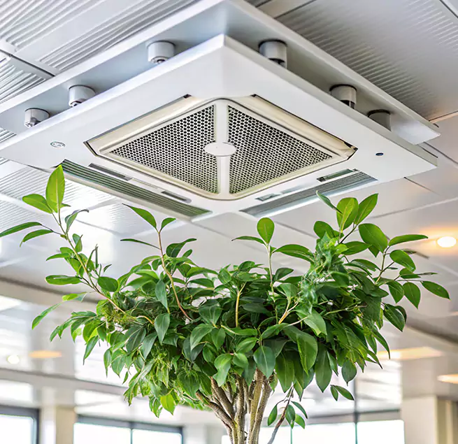 Why Homeowners & Businesses Trust Us in Houston, TX?