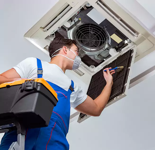 Why Homeowners & Businesses Trust Us in Houston, TX?