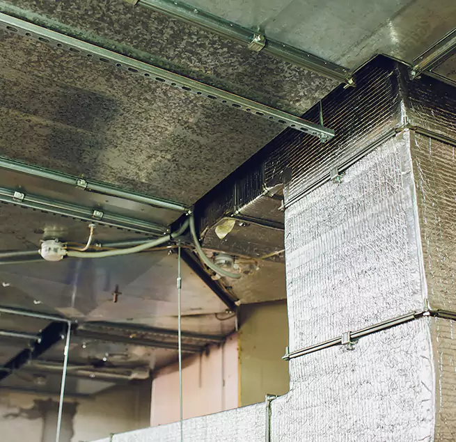 Why Homeowners & Businesses Trust Us in Houston, TX?